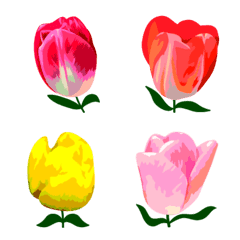 Mahsa's Tulip