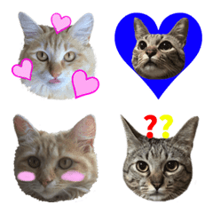 Gomaru and Iroha emoji