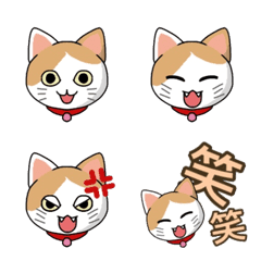 These are Emoji of cat [MOMO]