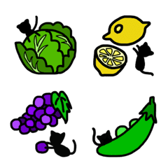 猫と野菜と果物