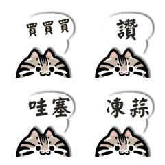 Cute Animal - Leopard Cat Text 1