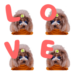 Fall cute Emoji no.2