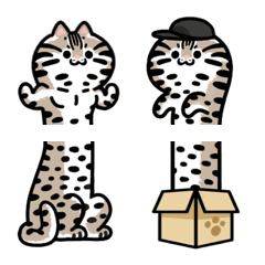 Cute Animal - LongLongLeopard Cat