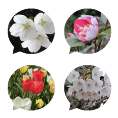 桜と春の花の絵文字