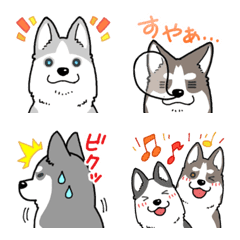 Cute Emoji of Siberian Husky