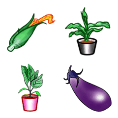 苗と野菜