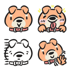 cute Shiba Inu(Dog)