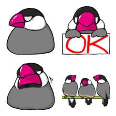 Java sparrow - Emoji - Normal color