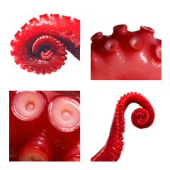 Octopus legs feel self-conscious