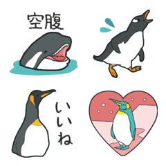 おらの動物園19【ペンギン】