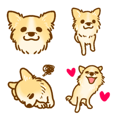 Chihuahua Emoji