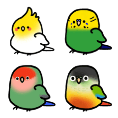 bird friends