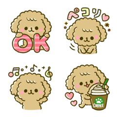 everyday toy poodle