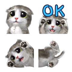 Mofu Kitten Mofuu Mini Emoji
