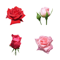 薔薇のお花絵文字