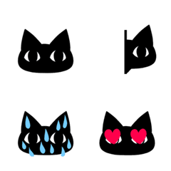 Black cat ordinary
