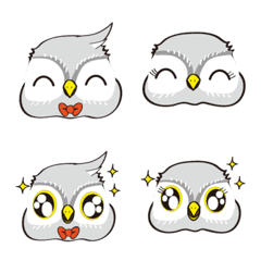 The owl Ruru and nyonyo