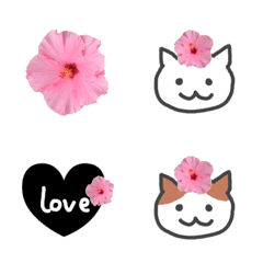 Hibiscus Photo Emoji