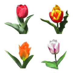 Flower Emoji Tulip