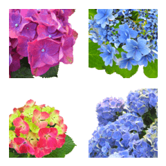 Flower Emoji Hydrangea Line Emoji Line Store