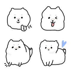 Soft and fluffy dog (Pomeranian)