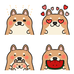 Very cute and round Shiba Inu emoji