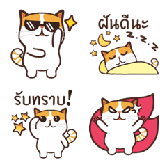 Cute cat emoji !!