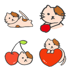 Cute orange tabby and white cat!