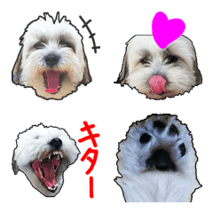 Lovely PONSUKE Emoji ver.1