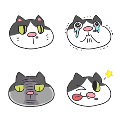  Greedy pocky cat