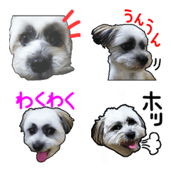 Lovely PONSUKE Emoji ver.2