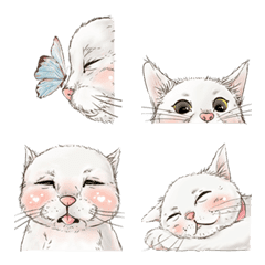 "Tissue" Cute Cat
