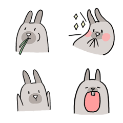 MooMoo's rabbit