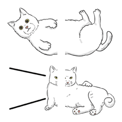 Cat only Emoji