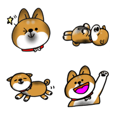 gomashiba hanachan Emoji