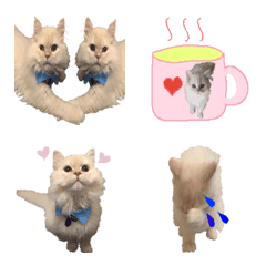 Emoji of a cute cat of Mr. cat lover
