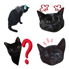 bulack cat 'HIJIKI' emoji