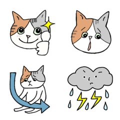 Adult cute calico cat emoji