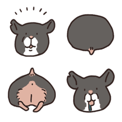  Black bear hamster Kuroki-san