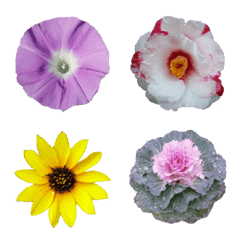 Floral single-wheel Emoji