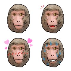 face emoji monkey