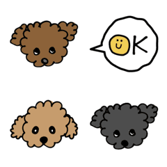 Speech bubble by toy poodle