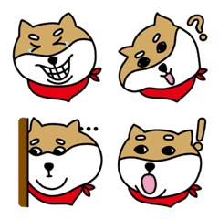 Shiba? Shiba!