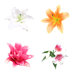 Flower Emoji Lily
