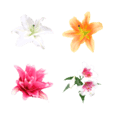 絵文字に花を アジサイ Line絵文字 Line Store