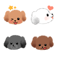 Baby Poodles