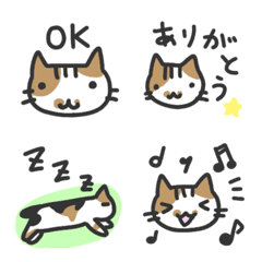 Makibishi The Cat