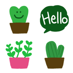 Simple green cactus,plants