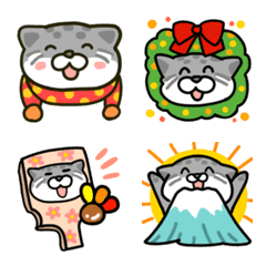 Manul cat autumn / winter emoji