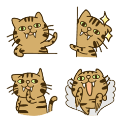 Brown Tabby Lato's daily life